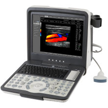 Manufacturer Price Digital B/W Color Veterinary 3D Ultrasound Machine